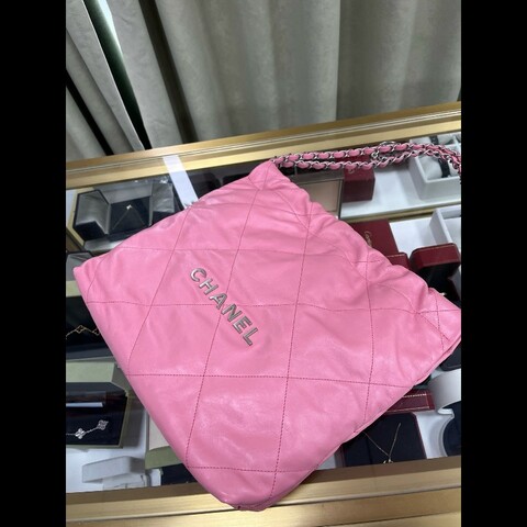 Chanel small 22bag
