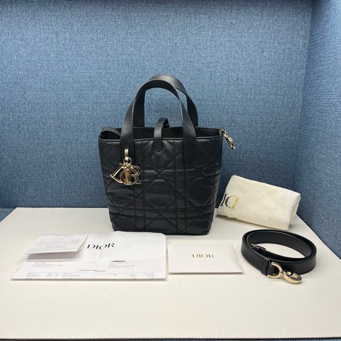 迪奧Dior Toujours土著竪版手拎單肩斜挎包99新