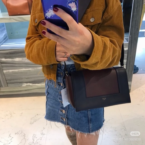 【威選精品】  ✨ CELINE Frame 拼色金扣豆腐包 ✨