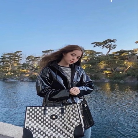 CELINE/賽琳 凱旋門老花托特包購物袋 超級大容量
