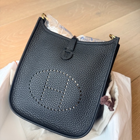 Hermes Mini Evelyne