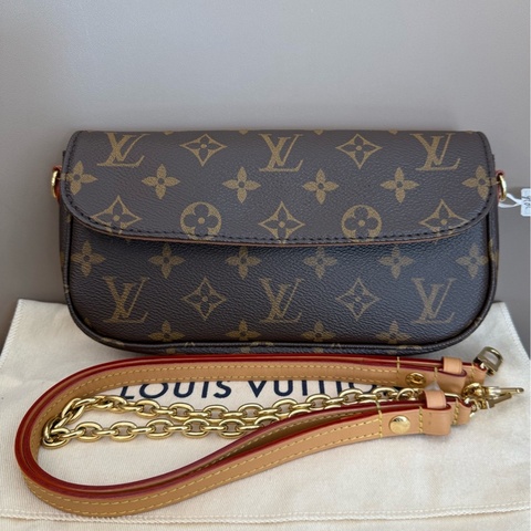 Louis Vuitton 路易威登 經典老花IVY 芯片款附件 塵袋