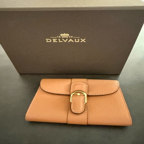 Delvaux Brilliant Cardholder brown