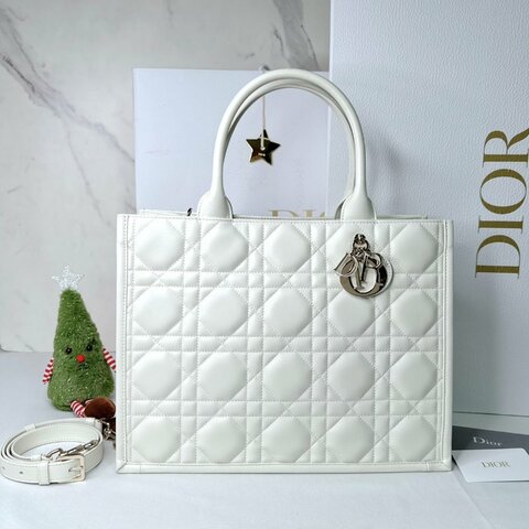 Dior Book Tote中款托特包
