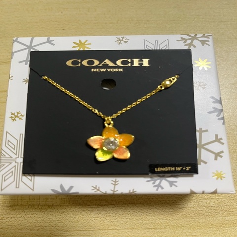 Coach立體五色花項鍊