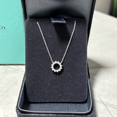 Tiffany蒂芙尼！鏤空圓形滿鑽PT950鉑金小太陽項鍊，小太陽寓意溫婉柔美圓滿幸福，鑲嵌12顆天然鑽石，附件：內外盒，