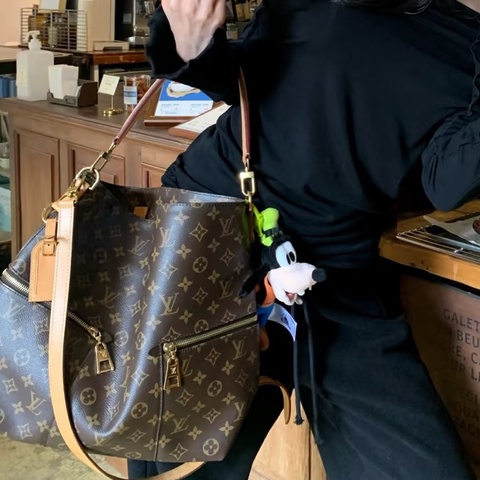 ⭐️五星推薦⭐️ LV hobo bag M41544