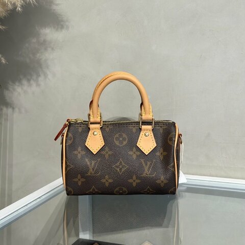 LOUIS VUITTON Nano Speedy