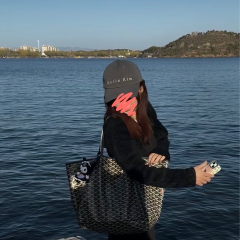 Goyard tote 托特包 PM 購物袋 購物包 黑色