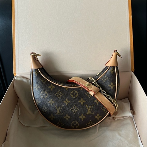 Louis Vuitton 路易威登 豌豆月亮包