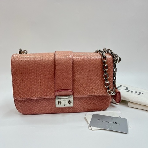 Dior python skin bag