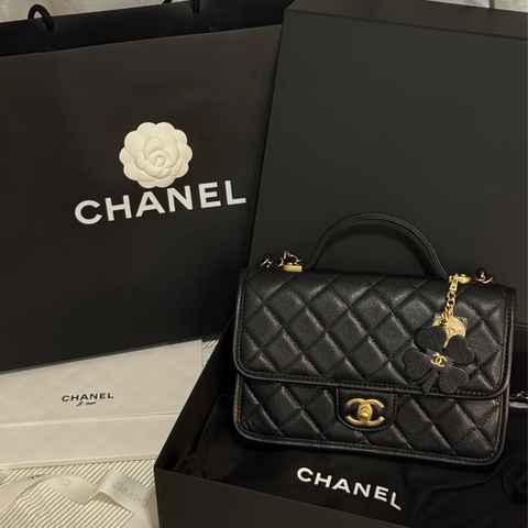 CHANEL 25B 郵差包 荔枝牛皮  幸運草 香奈兒