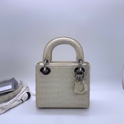 98新Dior喜马拉雅戴妃包，2019购入