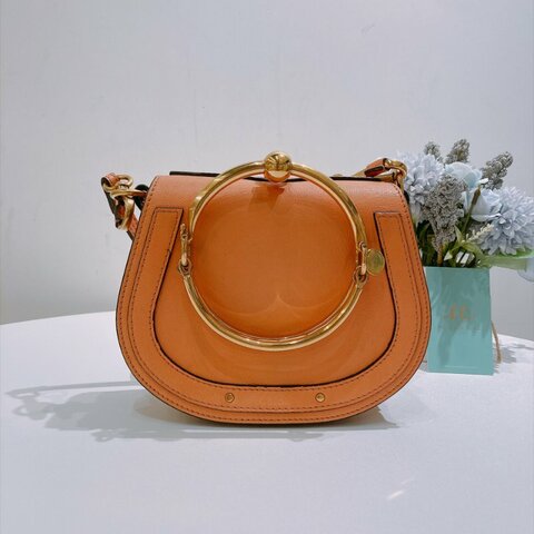 TW4945 Chloe 寇兒 小號 珊瑚色Nile Handbag Leather Small Bag