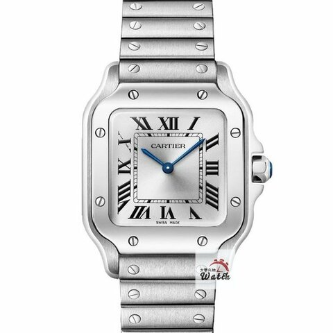 【大眾金時代】Cartier卡地亞 WSSA0082 山度士系列 2026/07未使用新品 原廠保固 大眾金時代G383