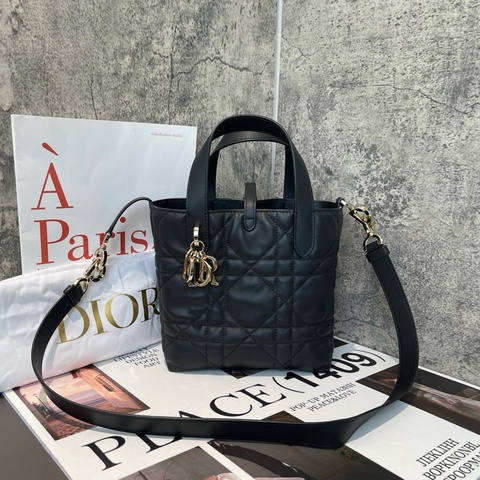 DIOR/迪奧 土著 黑色 小牛皮 小號 竪版托特包Tote包購物袋 單肩包手提包