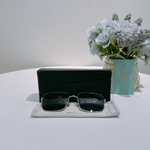 TW4956	Christian Dior 迪奧眼鏡 DiorCannage Sunglasses Black x GHW