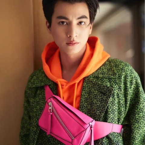 #全網最低價 Loewe 羅意威 拼圖包 西班牙的熱情 特殊色