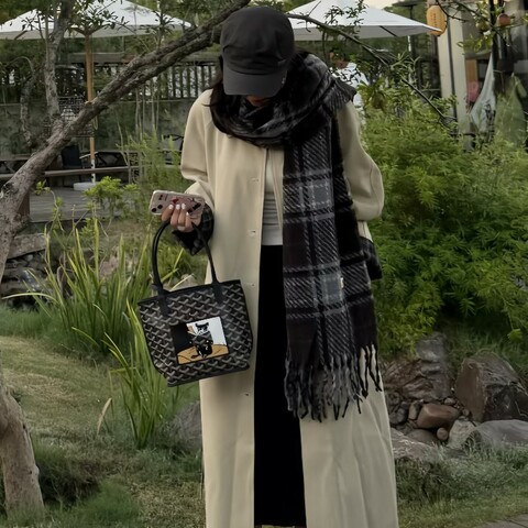 Goyard SaintLouis 老花子母購物袋小號98新✨️