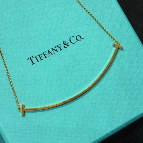 蒂芙尼/Tiffany Tiffany T 系列 67513363