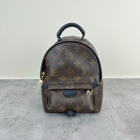 LV路易威登 palm springs 老花雙肩包mini