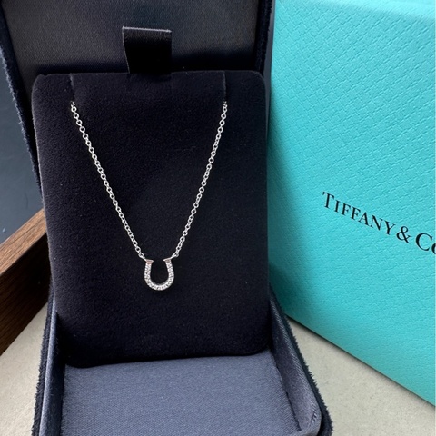 Tiffany 蒂芙尼 馬蹄形鑽石項鍊 經典款 附件盒子
