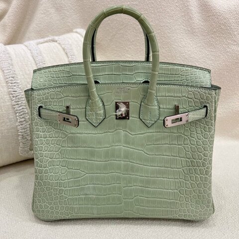 Hermès Birkin 25 6U薄荷綠 倒V鱷魚 銀扣