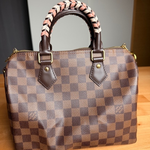 Louis Vuitton LV Speedy 25 N40450 特殊編織限定款｜Damier Ebene 棋盤格｜台北101購入