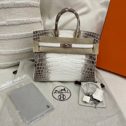 Hermès Birkin 25 喜馬拉雅 兩點鱷魚 銀扣