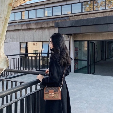 Louis Vuitton路易威登 達芙妮小號 極品好成色
