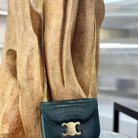 Celine 2023春夏新款凱旋門馬鞍包 亞馬遜綠蜥蜴皮 18×15×5  99新配件塵袋 盒子