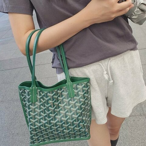 Goyard mini托特綠色 小牛皮 20 x 10 x 20  99新配件配件塵袋 子袋