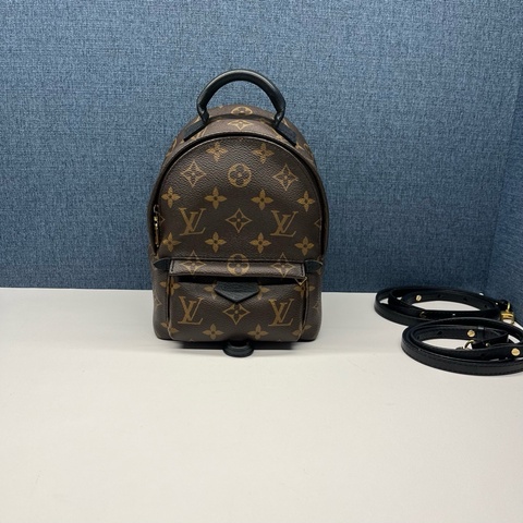 Louis Vuitton路易威登 mini老花雙肩包