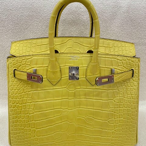 Hermès Birkin 25 M9金盞花 方塊鱷魚 銀扣