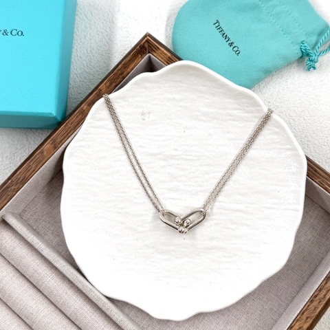 Tiffany蒂芙尼hardwear小號純銀雙鏈環項鍊 銀色雙鏈環 鏈長40.5c