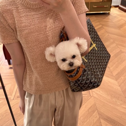 【寵物專用🐱🐶快來打包你家的小寶貝吧🤣🙌🏻】Goyard Chien Gris寵物包