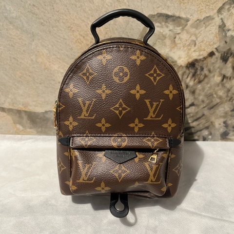 Louis Vuitton Palm Springs Mini 小書包