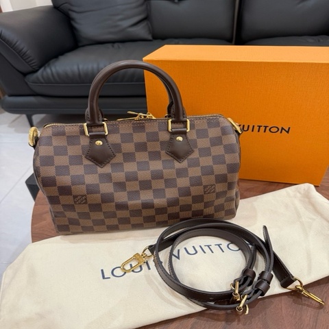 LV speedy25棋盤格枕頭包 芯片款