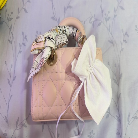 Dior Lady D-joy 微型包
