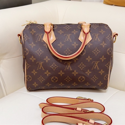 Louis Vuitton LV/路易威登 Speedy 25 經典老花滿印枕頭包 晶片款
