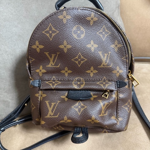Louis Vuitton 路易威登Palm Springs Mini 帆布印花迷你後背包