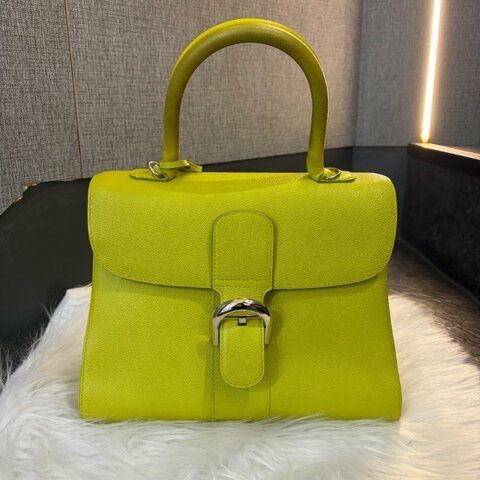 Delvaux Brillant 牛皮兩用包 青綠