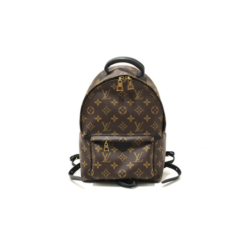 Louis Vuitton Classic Monogram Palm Springs PM Backpack