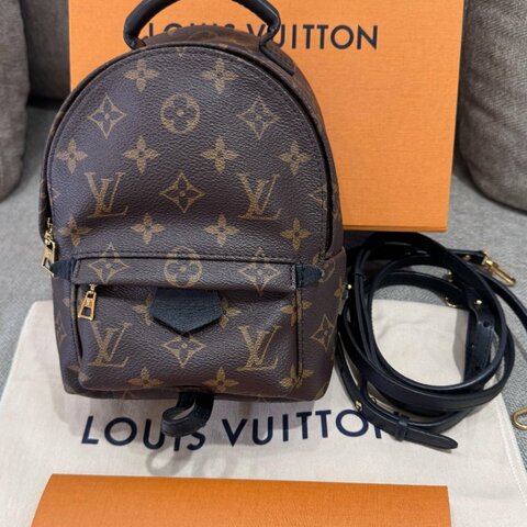 LV  Palm Springs Mini 老花後背包 年份標