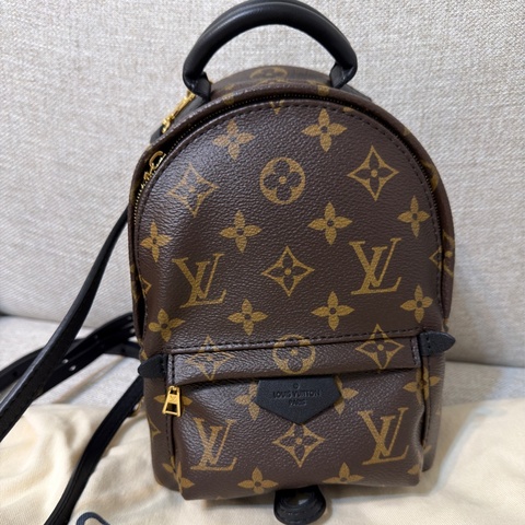✨LV小書包✨ Palm Springs Mini 網紅後背包