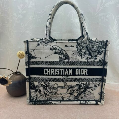 Dior 迪奧 Book Tote 托特包