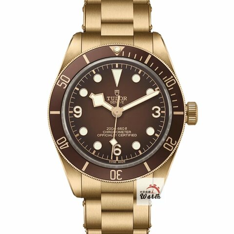 【大眾金時代】TUDOR帝舵 79012M BB58系列 2025/06 青銅錶殼 漸層青銅棕色面盤 大眾金時代B1603