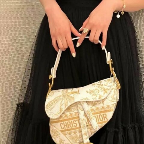 Dior 限定款白金刺繡Saddle馬鞍包 帆布 24*20*4 98新配件塵袋