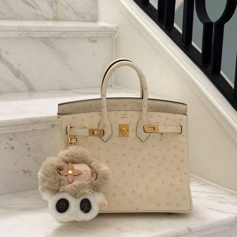 Hermes 爱马仕 birkin25 鸵鸟皮