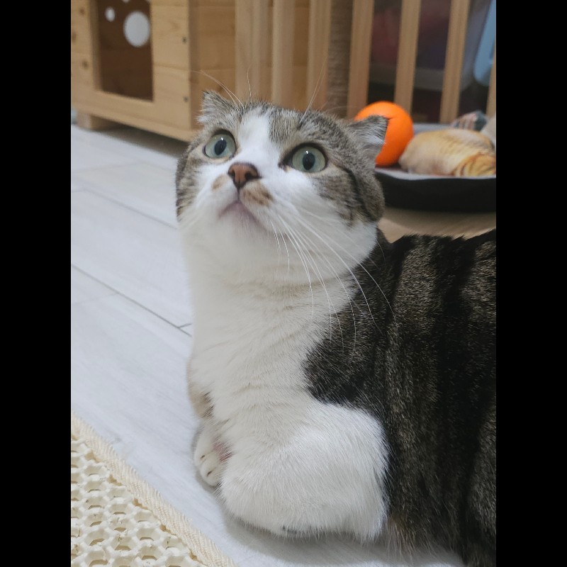 tian_1014